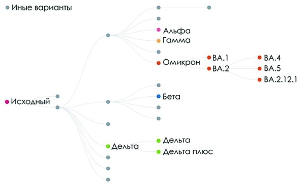 
			Волны COVID-19 станут  более предсказуемыми?		