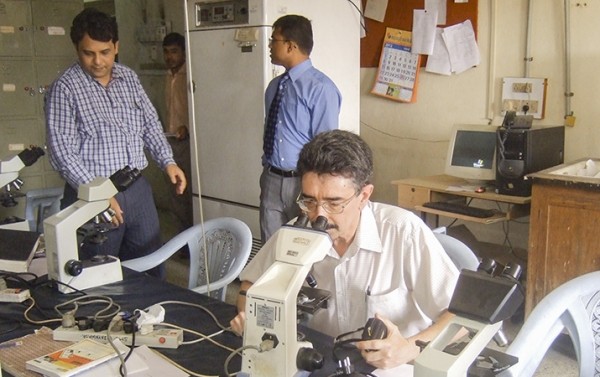 Плесневые грибы и опасность инвазивных микозов
Плесневые грибы и опасность инвазивных микозов