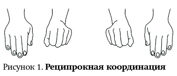 Оценка развития высшей нервной деятельности ребенка на амбулаторном этапе
Оценка развития высшей нервной деятельности ребенка на амбулаторном этапе