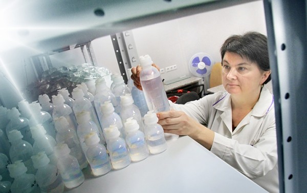 Несвижский завод медицинских препаратов: уверенным шагом к новым целям
Несвижский завод медицинских препаратов: уверенным шагом к новым целям