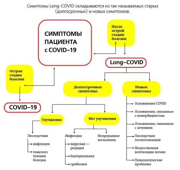 Постковидный синдром: наука в начале пути
Постковидный синдром: наука в начале пути