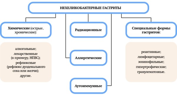 
			Природа хронической гастродуоденальной боли. Часть 2		