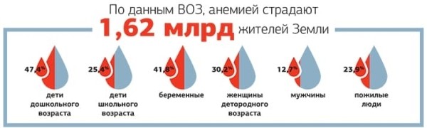 
        Анемия в общей терапевтической практике			    