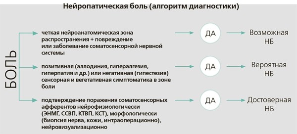 Нейропатическая боль: трудный пациент. Часть 1
Нейропатическая боль: трудный пациент. Часть 1
