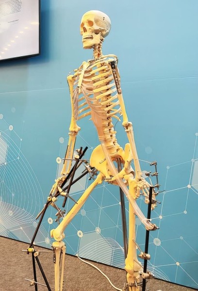 
        Достижения медицины: есть что показать			    