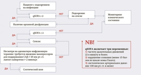 
        Сепсис в педиатрической практике			    