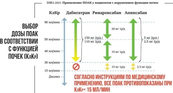 
        Трудный больной с фибрилляцией предсердий: клинический опыт или выбор стратегии согласно новым Европейским рекомендациям?			    