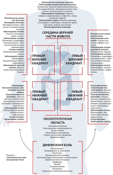 Острая гастродуоденальная боль. Часть 1
Острая гастродуоденальная боль. Часть 1