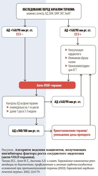 
        Артериальная гипертензия у пациентов с онкологическими заболеваниями                    
