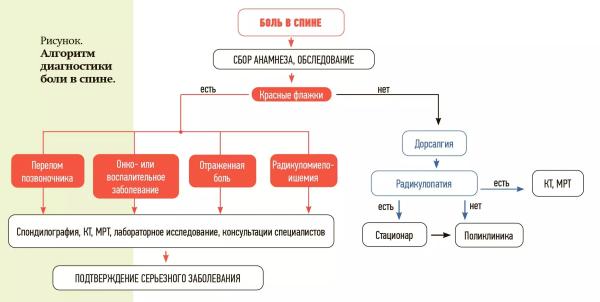 
        Важные нюансы диагностики болей в спине                     
