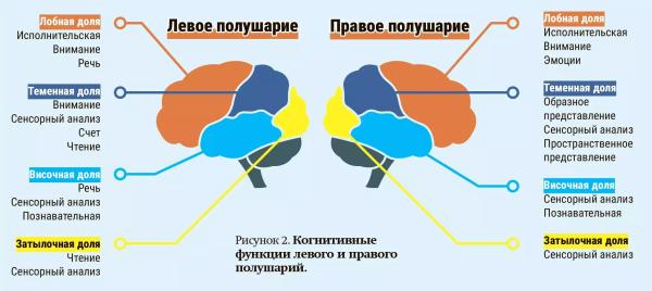 
        Когнитивные нарушения при сосудистой патологии головного мозга: актуальные подходы к диагностике и лечению                     