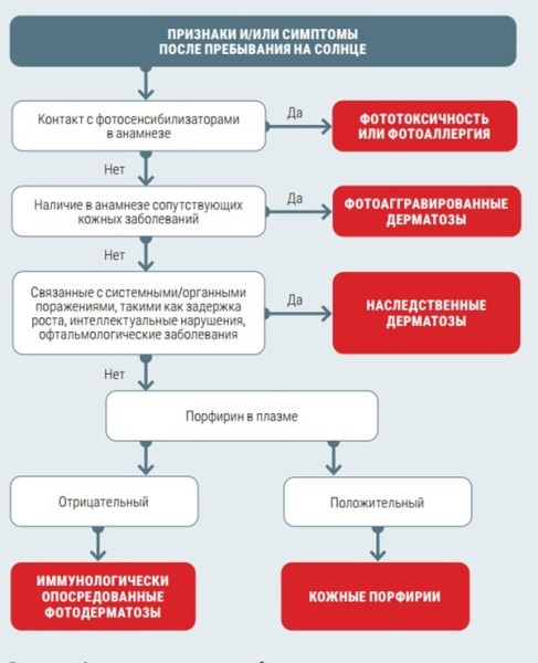 
        Фотодерматозы: фототоксические ожоги, аллергические реакции и солнечная крапивница                    