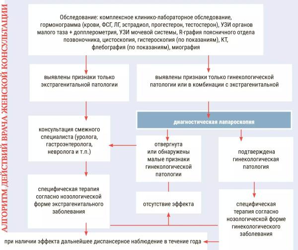 
        Подсказки гинекологу: сосудистые проблемы как причина тазовых болей                     