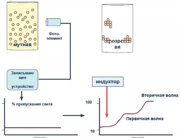 
        Первичный гемостаз и методы его оценки: оптическая и импедансная агрегатометрия                     