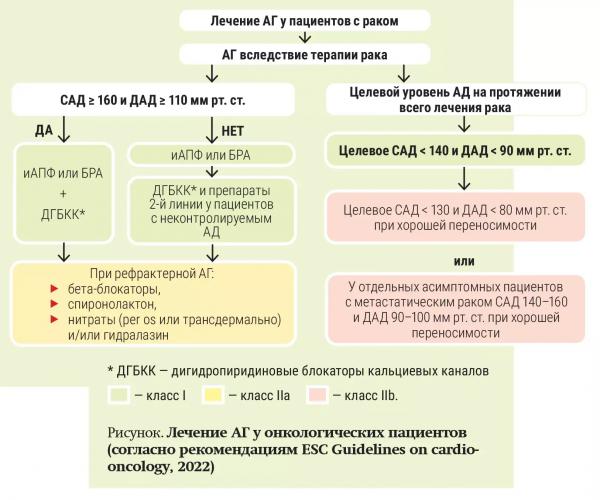 
        Не больно, не страшно, не одиноко…  1001 вопрос онкопациента                    